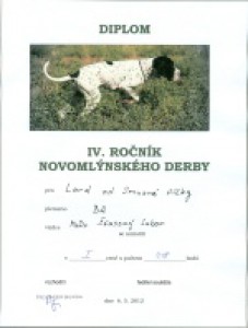 novomlynske-derby-2012.jpg